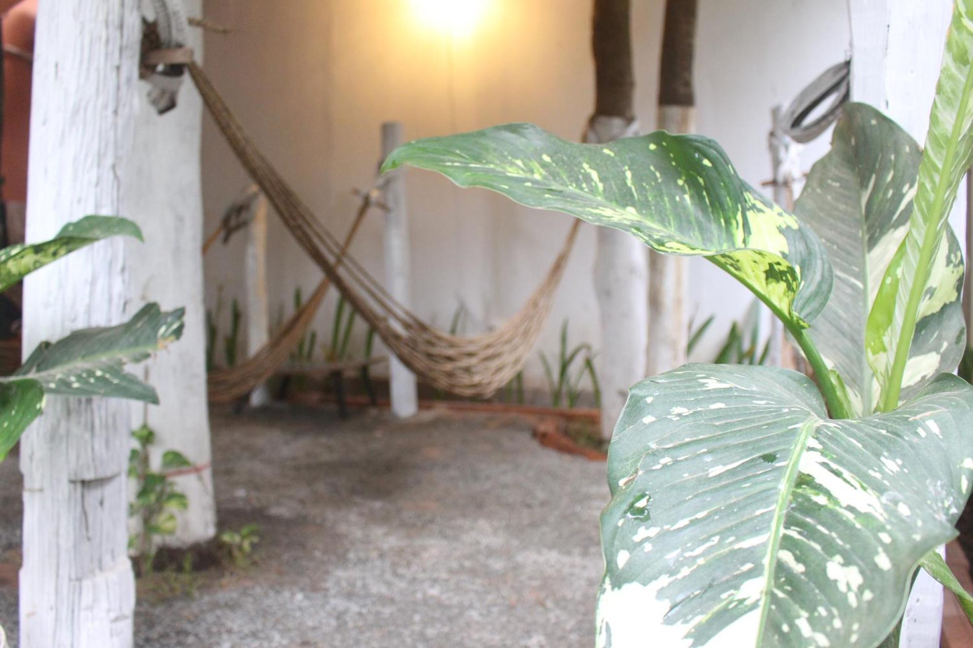 Eco-Home Siem Reap Homestay Bagian luar foto