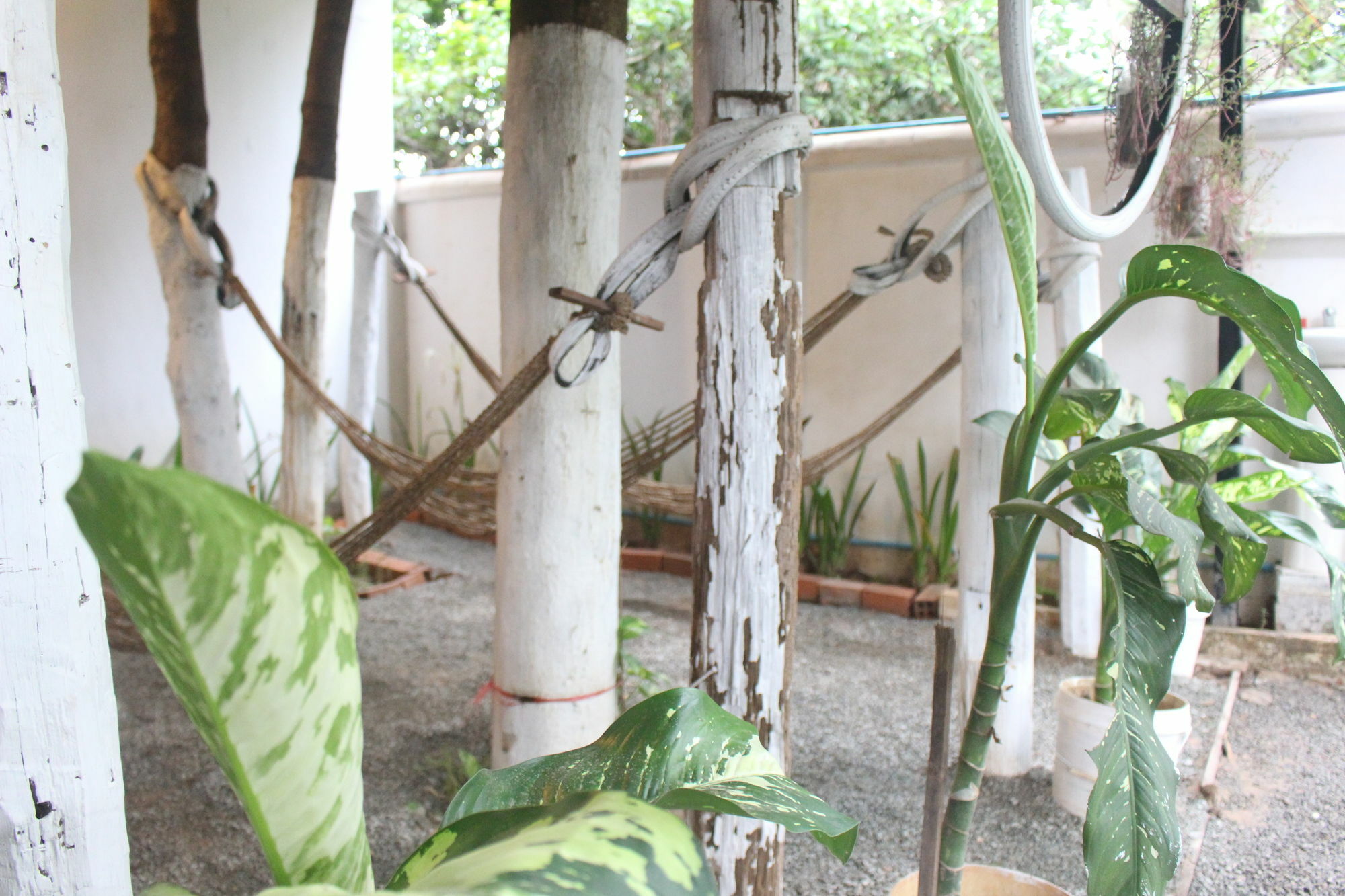 Eco-Home Siem Reap Homestay Bagian luar foto