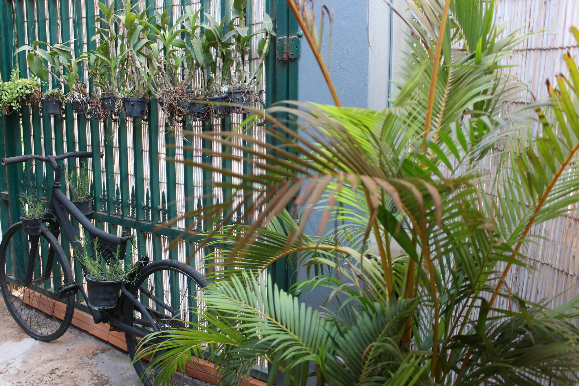 Eco-Home Siem Reap Homestay Bagian luar foto