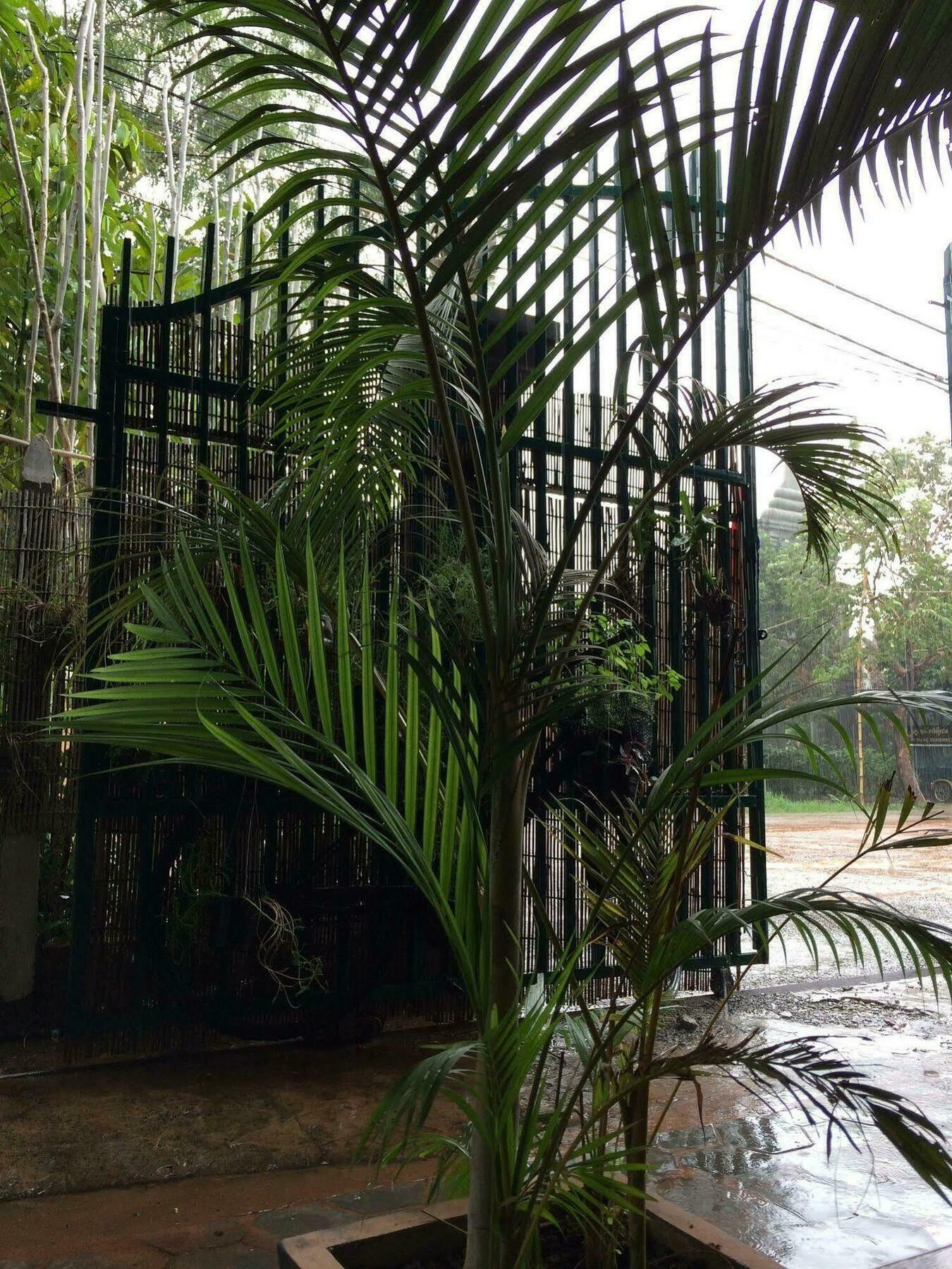 Eco-Home Siem Reap Homestay Bagian luar foto